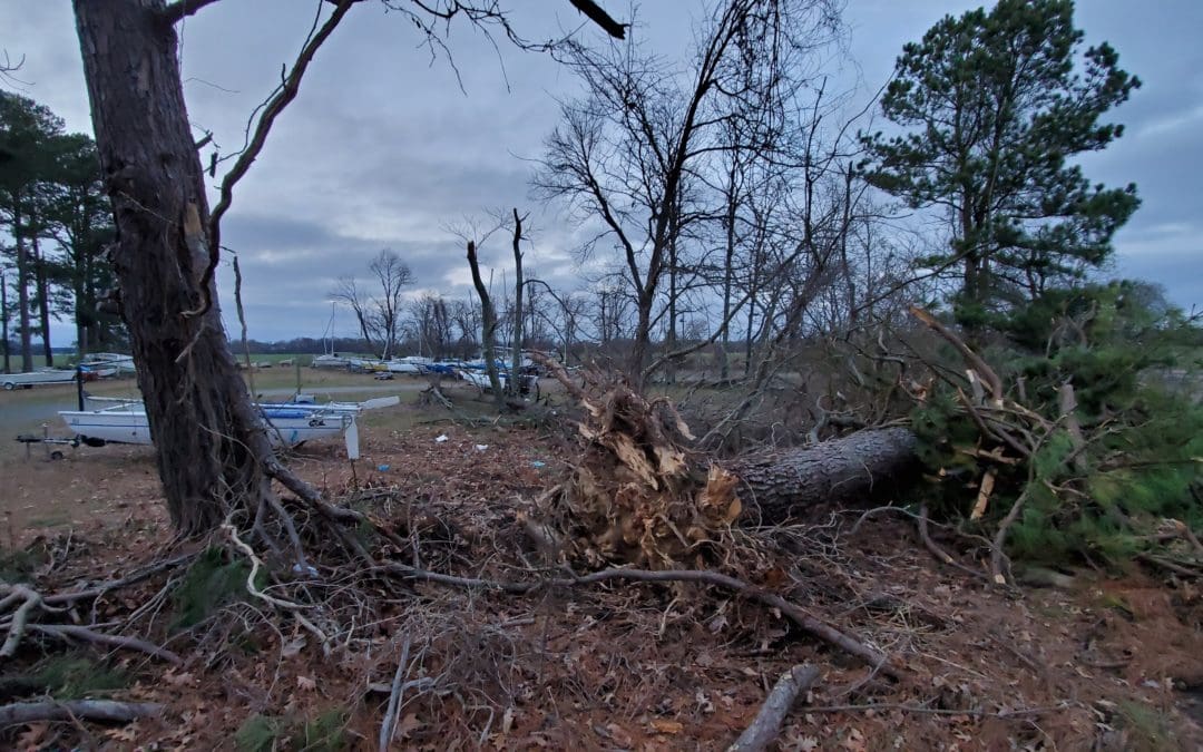 TORNADO HITS DSA LOT MORNING OF JAN 11, 2020