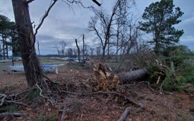 TORNADO HITS DSA LOT MORNING OF JAN 11, 2020